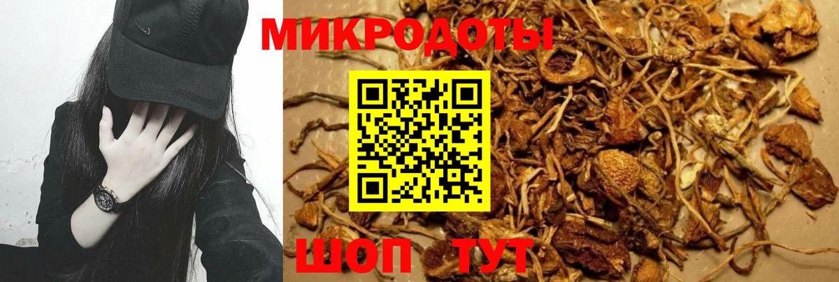 Галлюциногенные грибы Cubensis  Вход с VPN  Ипатово  Псилоцибиновые грибы мухоморы 