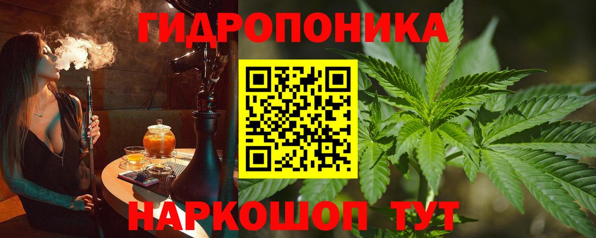 Бошки Шишки марихуана Ипатово